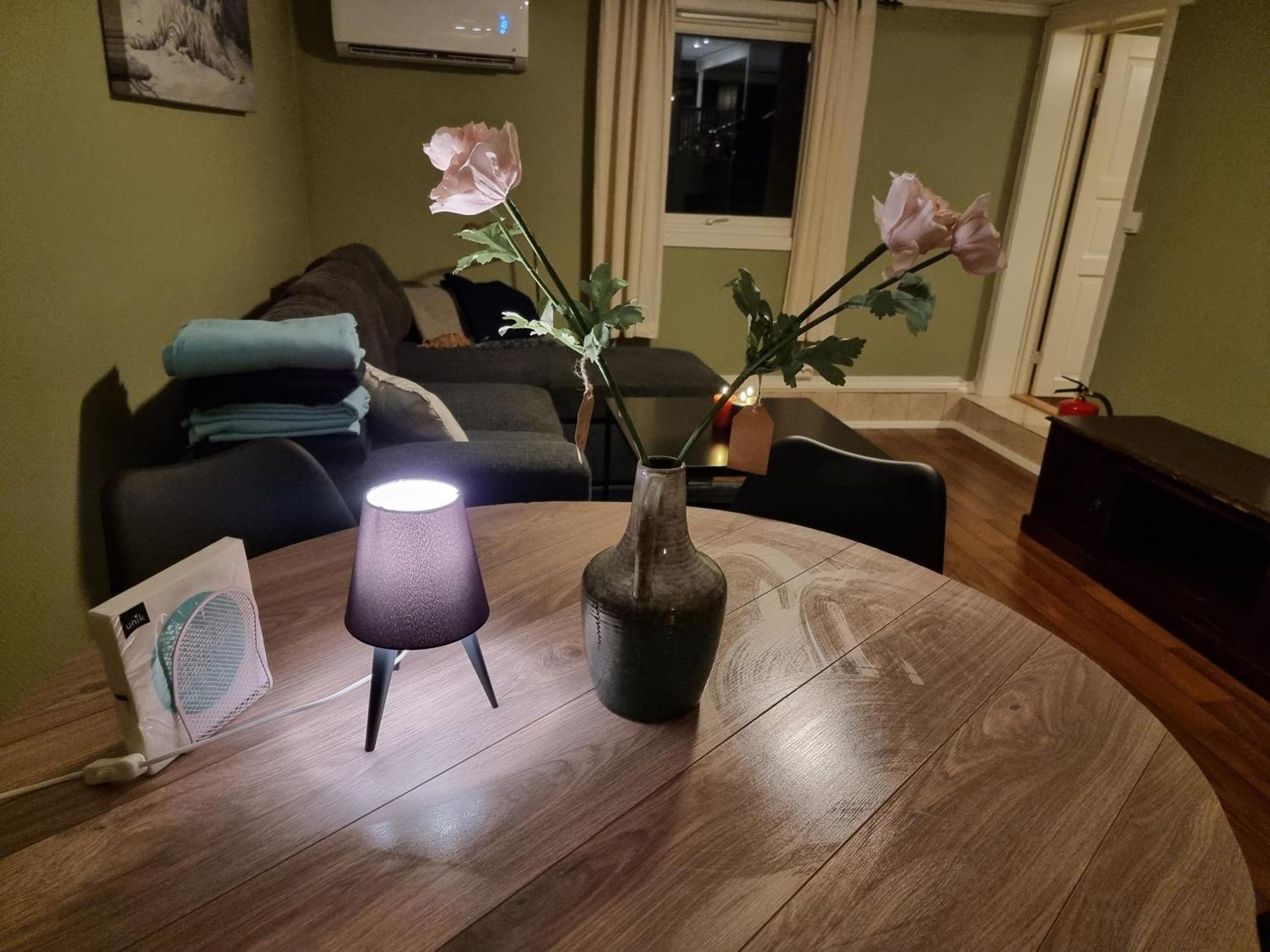 Kjellerleilighet Egen Inngang. Stange المظهر الخارجي الصورة